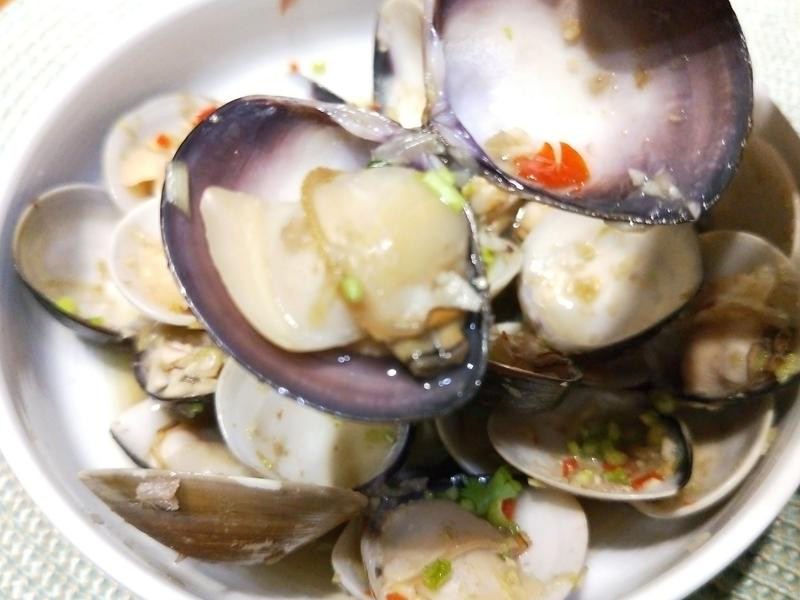 ̩ʽ�����۵�����