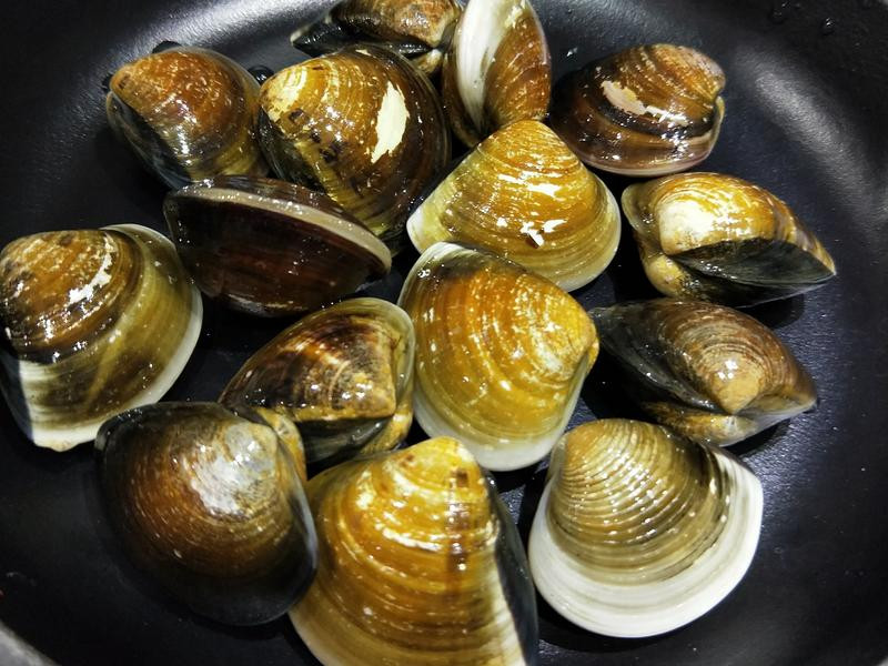 ̩ʽ�����۵�����