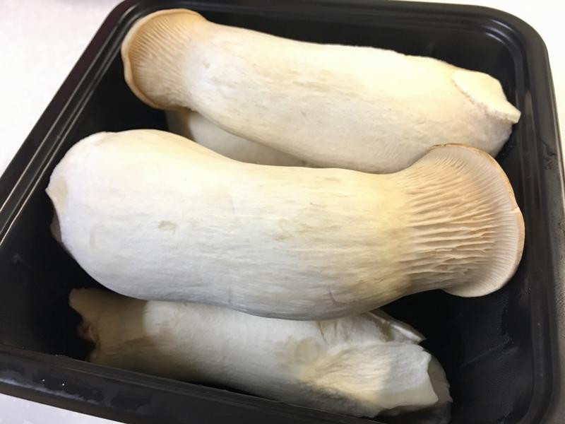 ��������ӱ���������