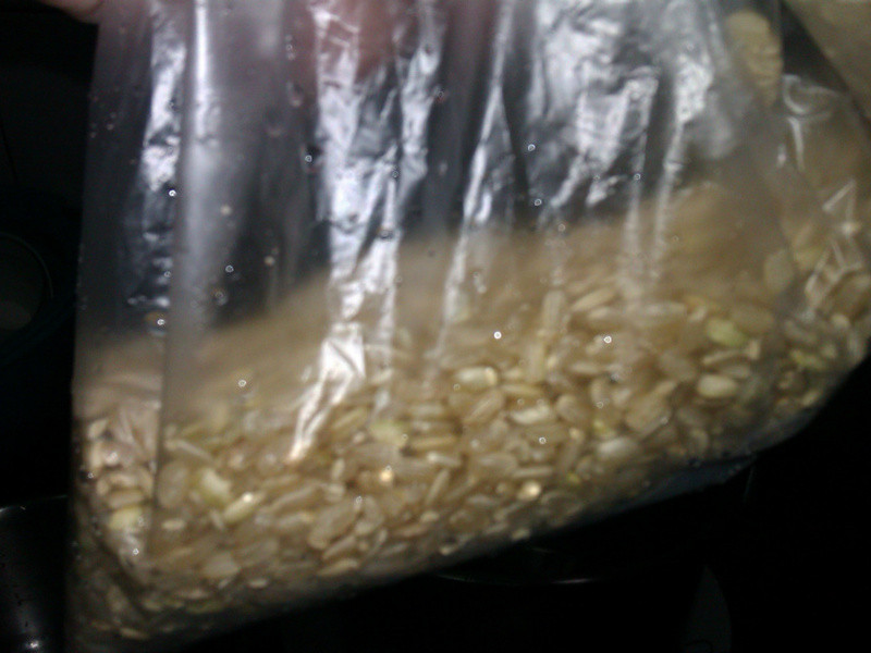 ���������Ź��������