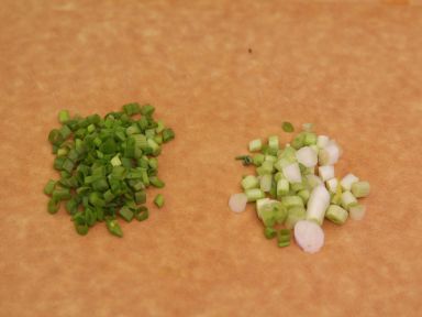 ������Ƭ����������