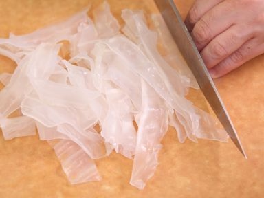 ������Ƭ����������