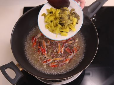 ������Ƭ����������