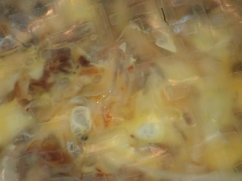 ˫����ѩ��������