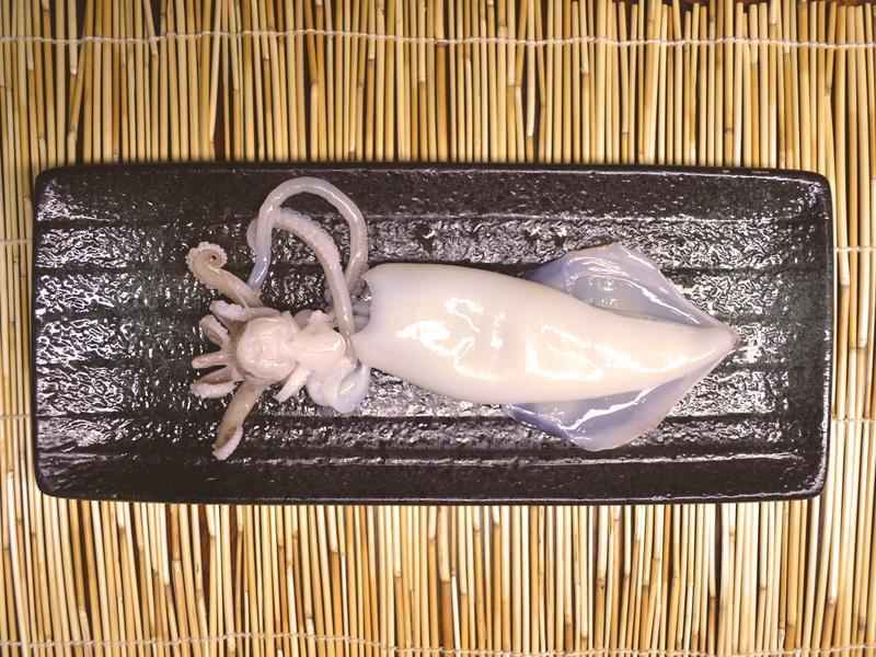 ��Ǻī�������