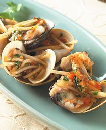 ̩ʽ��ѿ����������