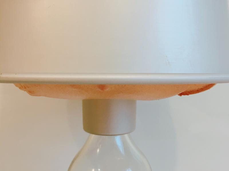 ����ζţ���ݷ絰�������