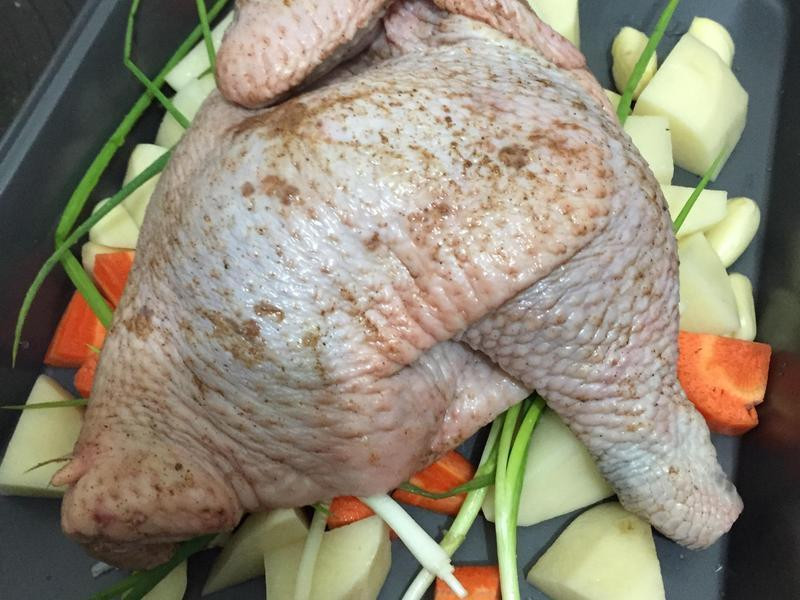 ���㿾�뼦������