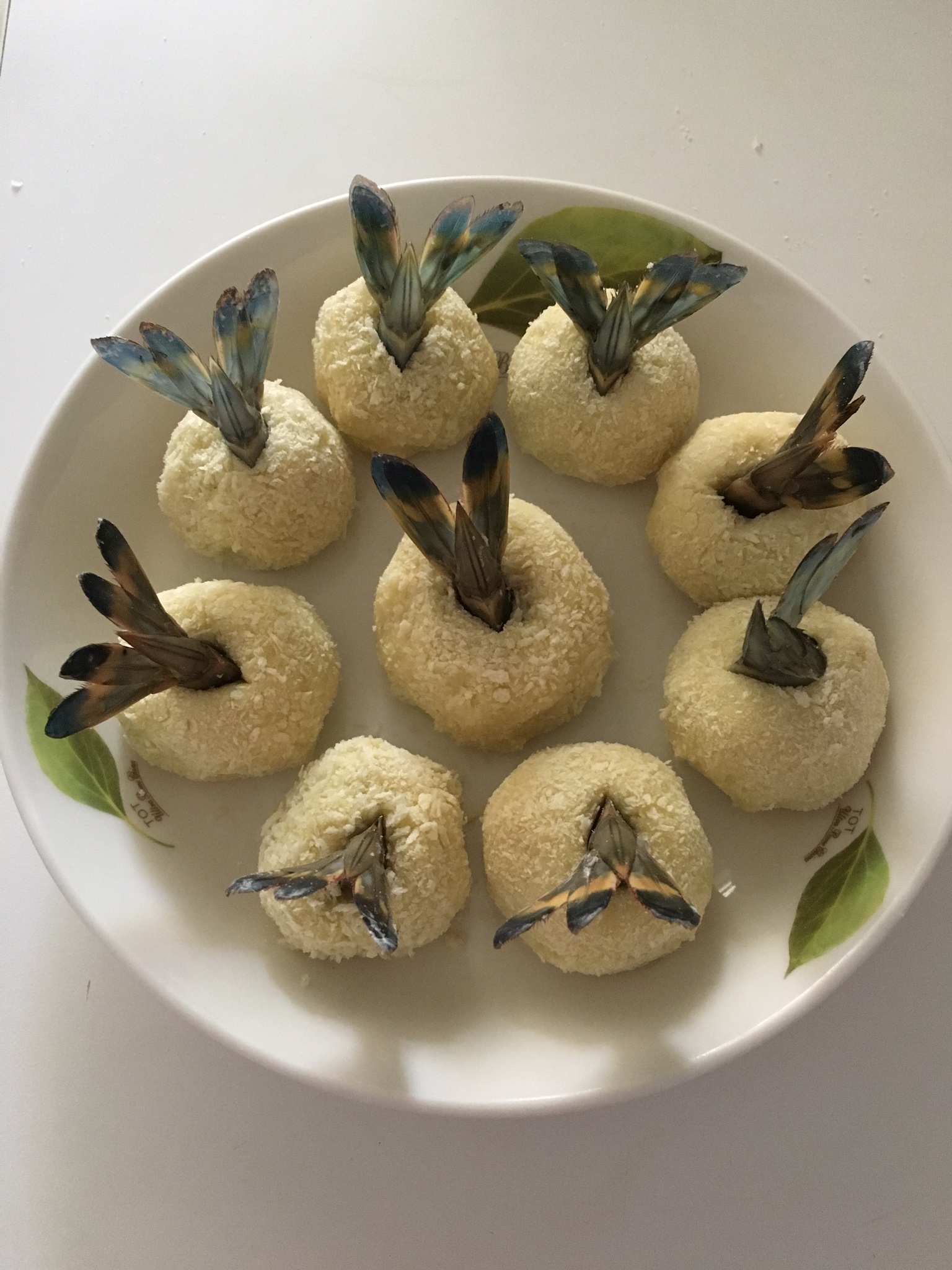 ��Ϻ֥ʿ�������������