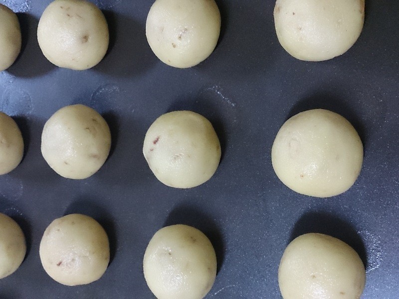 ����ѩ�������