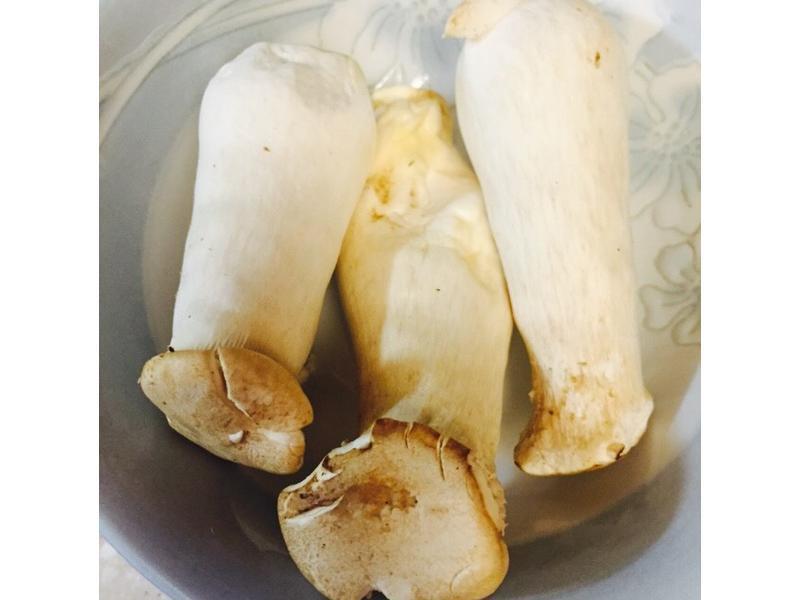 ������˽��-���ޱ㵱������ţ����ӱ���������