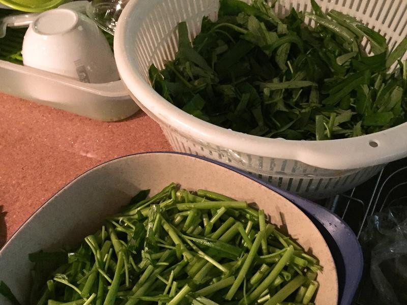 ������Ĳ˵�����