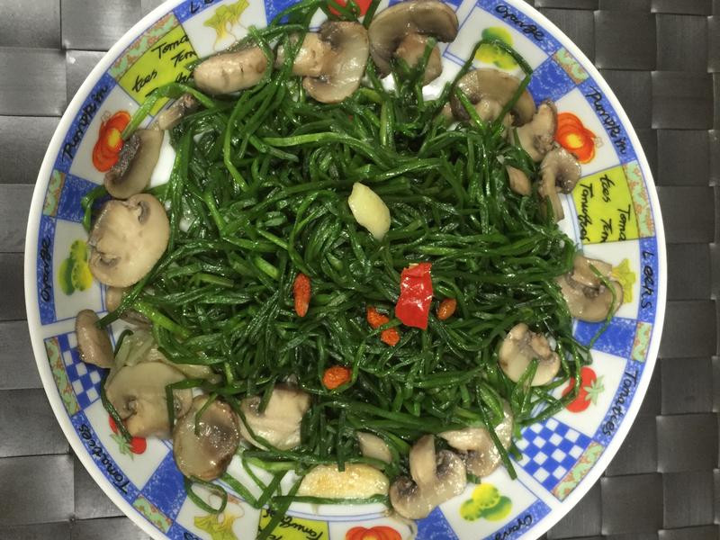 Ģ����ˮ��������