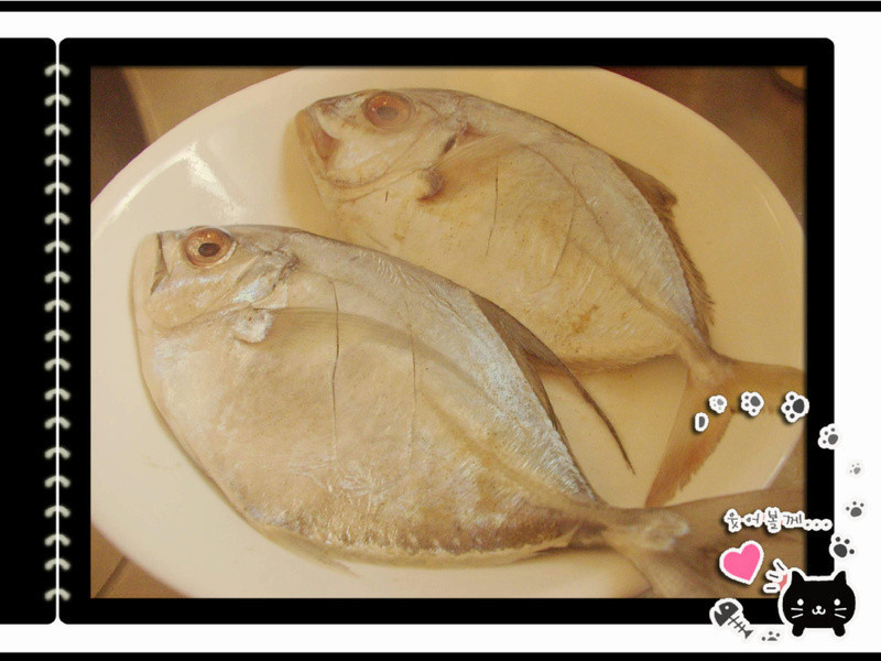 ֥���㿾�����������