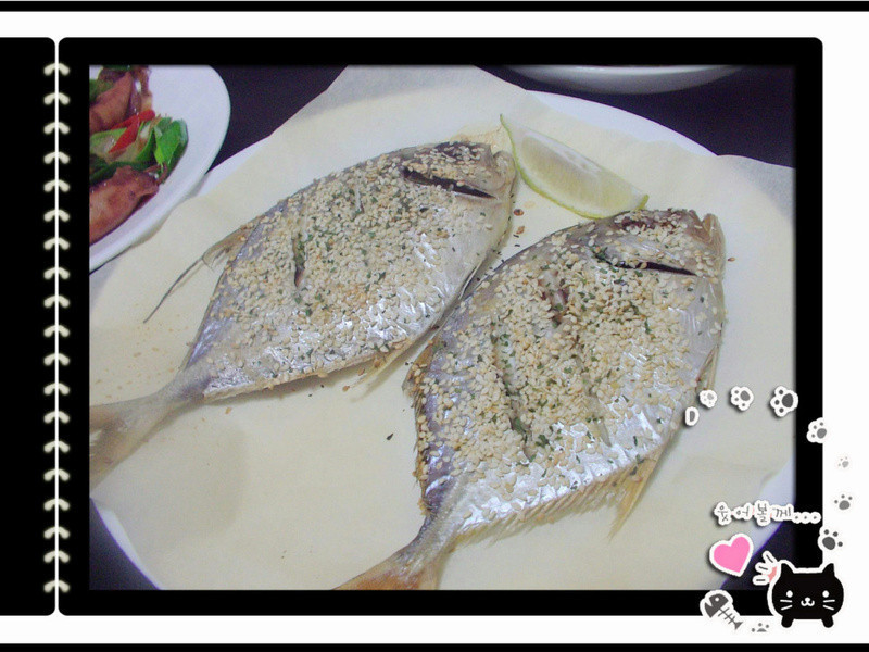 ֥���㿾�����������