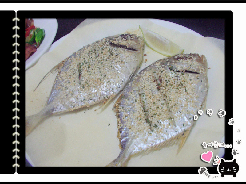 ֥���㿾�����������