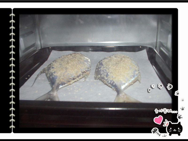 ֥���㿾�����������