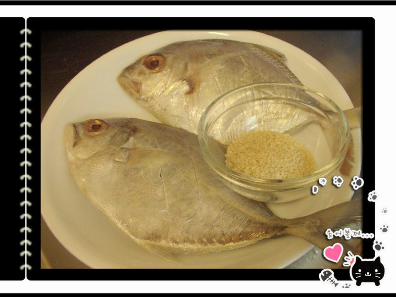 ֥���㿾�����������