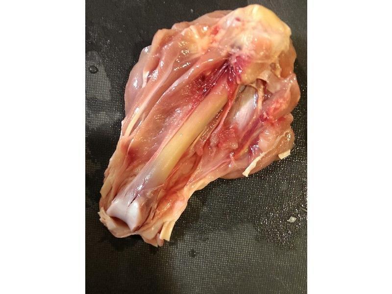 �� ��ʽ��ݼ����� ��������