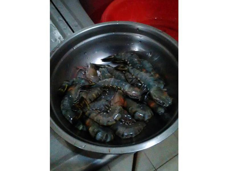 ���ղ�Ϻ���ƶ˱�����ʳ�ҡ�������