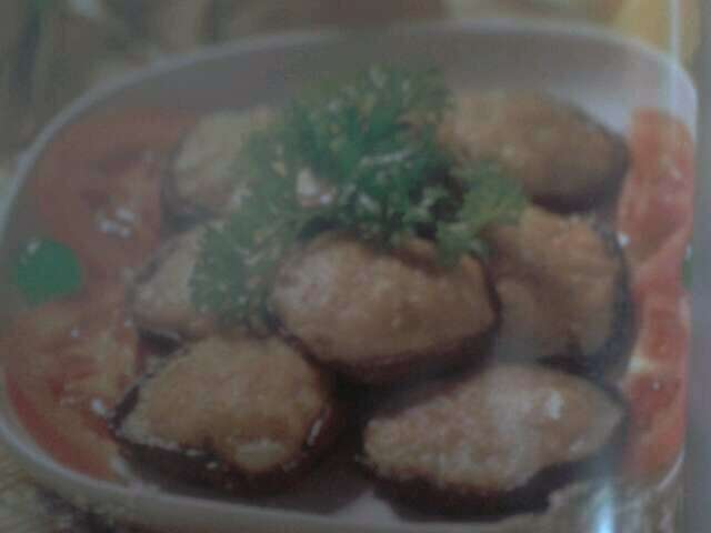 ���𶬹�������