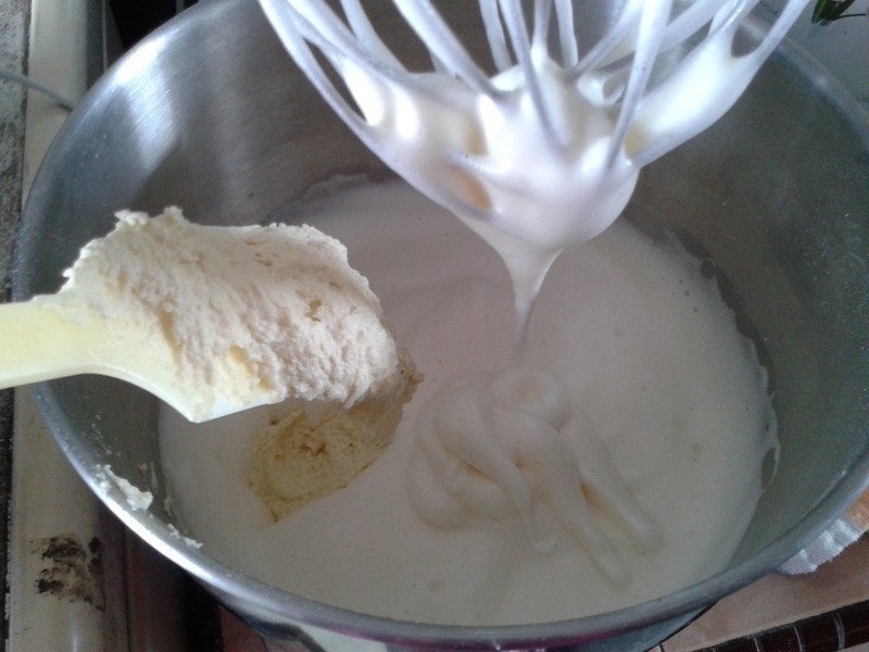 ����ţ�͵��������