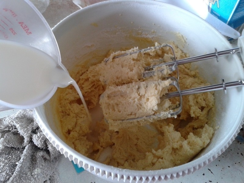 ����ţ�͵��������