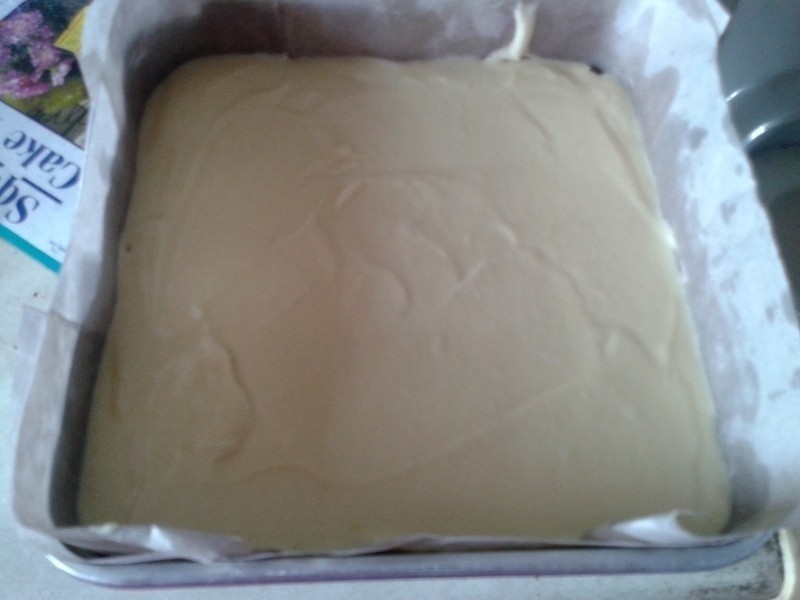 ����ţ�͵��������