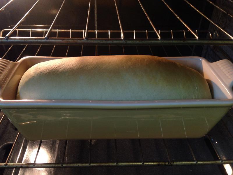 ���Ϻ�����������˾?!!!������