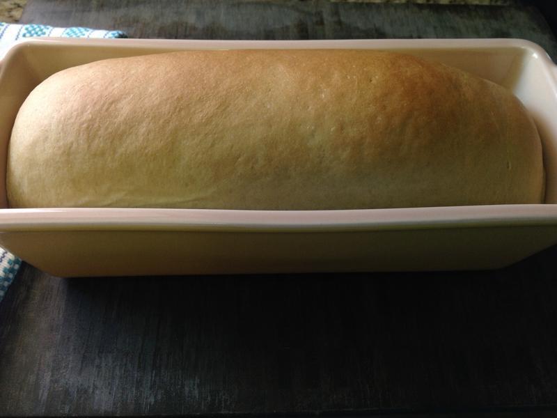 ���Ϻ�����������˾?!!!������