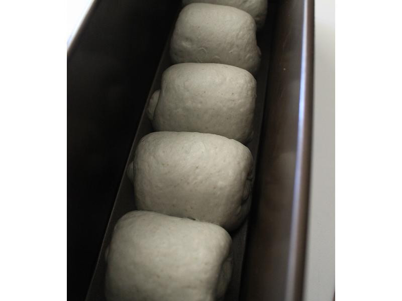 �ں����Ÿ���˾������