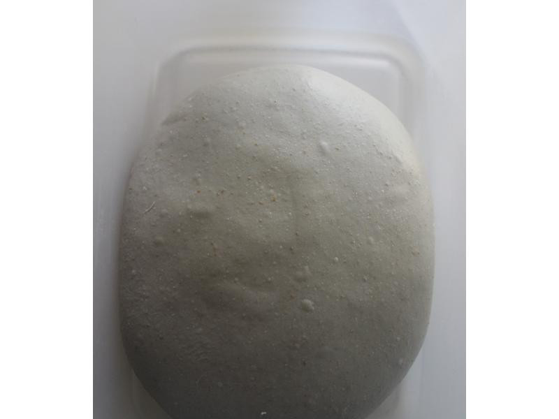 �ں����Ÿ���˾������