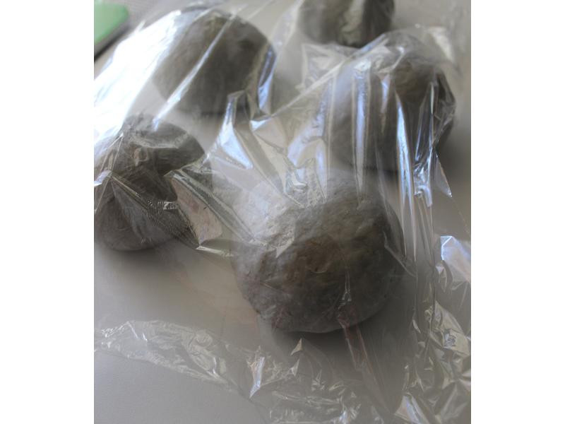 �ں����Ÿ���˾������