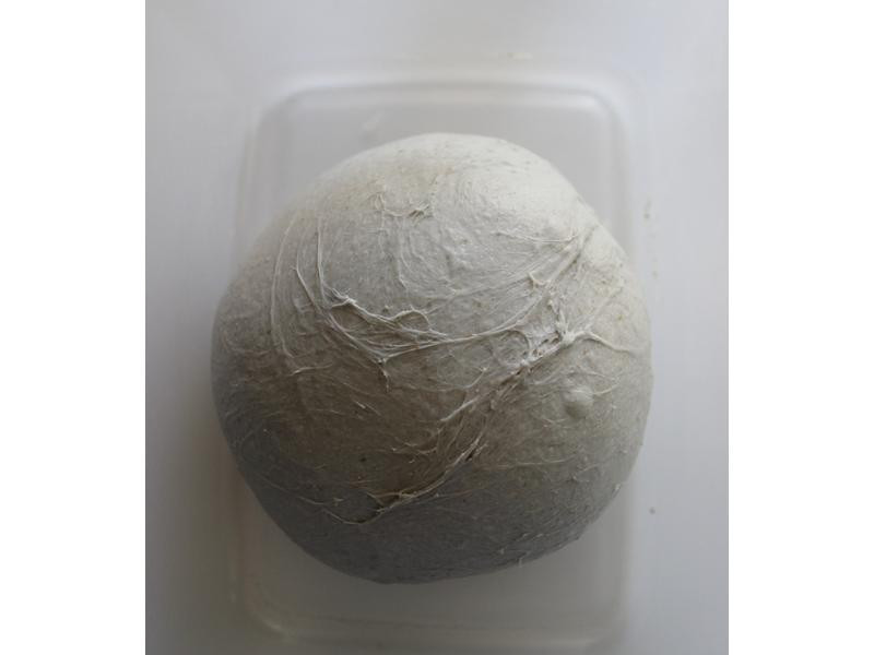 �ں����Ÿ���˾������