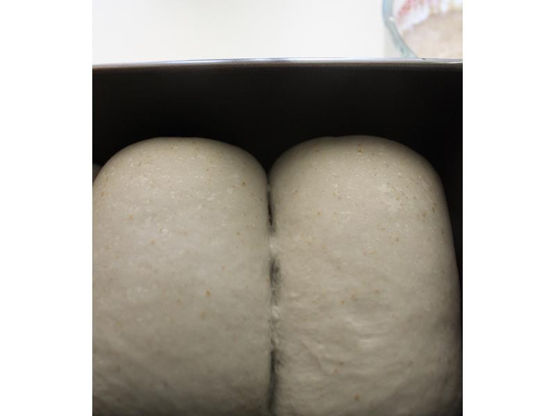 �ں����Ÿ���˾������