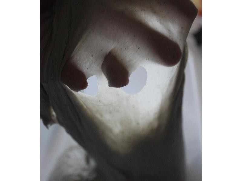 �ں����Ÿ���˾������