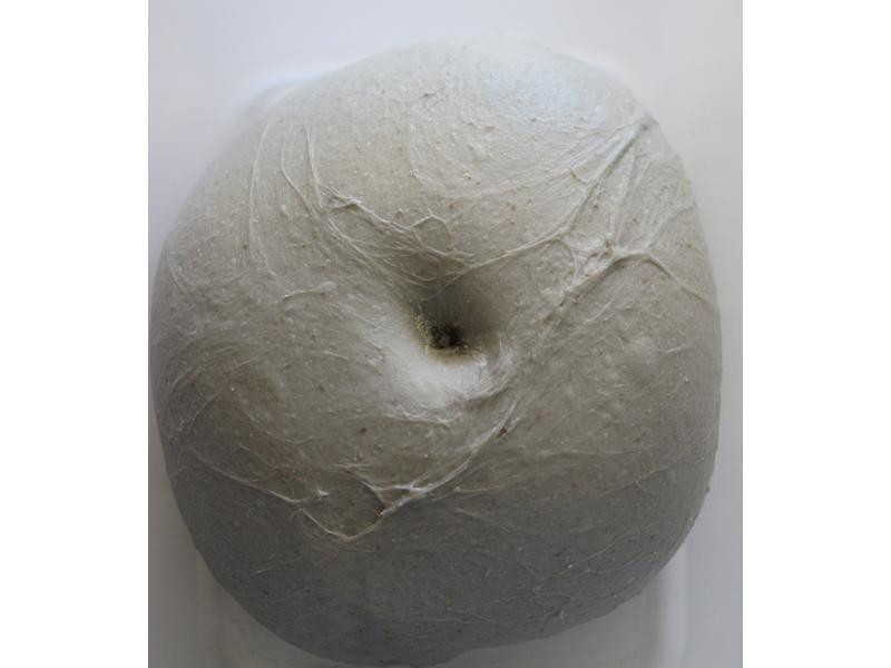 �ں����Ÿ���˾������