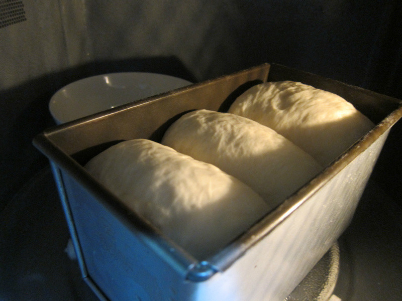 ��˾������˾������