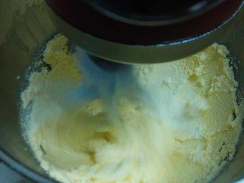 �����ɿ������BISCOTTI������