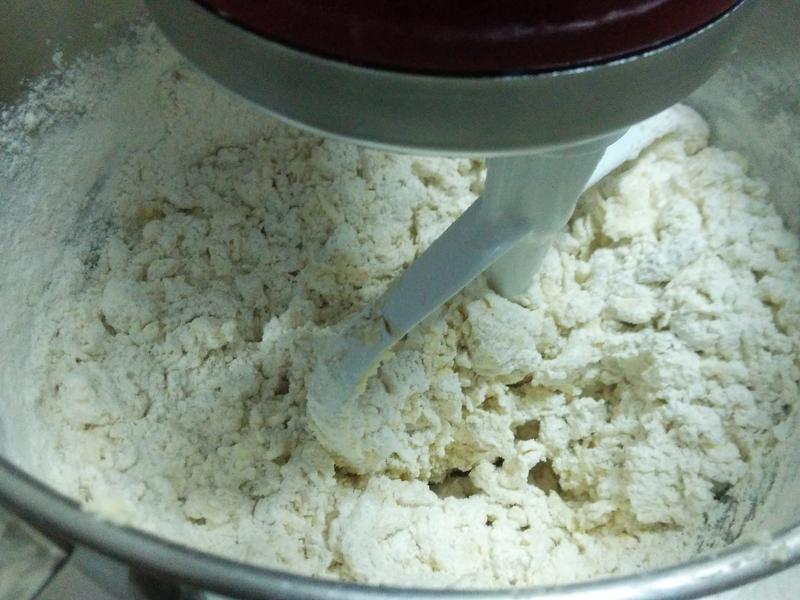 �����ɿ������BISCOTTI������