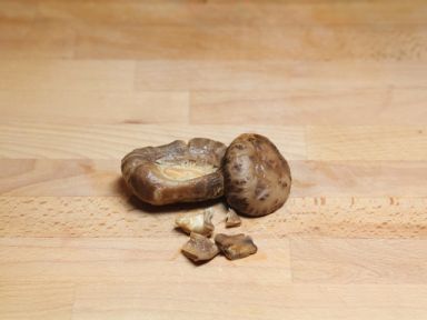 �˶������ŵ�����