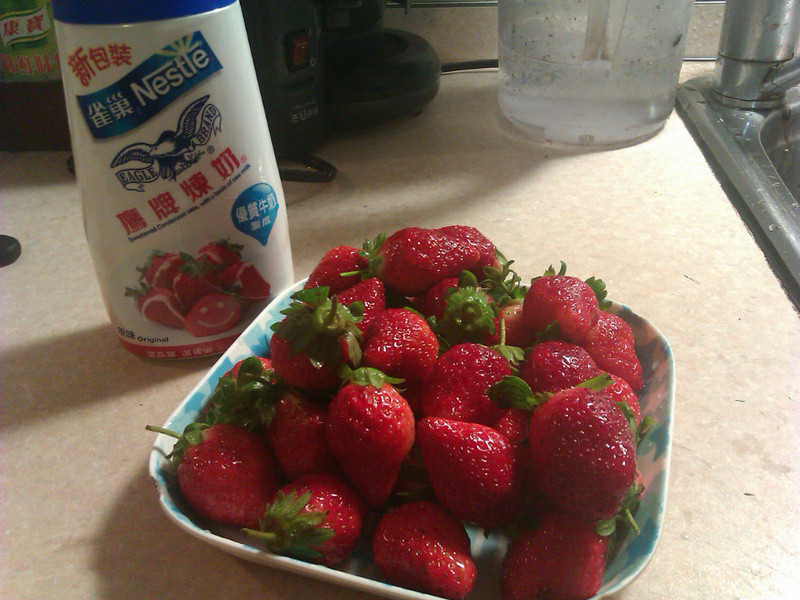 ����ݮ�Ͱ�ӥ�����̡�������ݮ�е�����