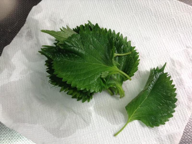 �����ུ�㿾���������