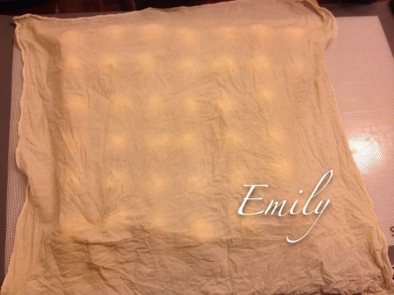 ֥�����ձ�������