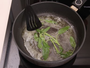 �����Ϲ���������̵�����