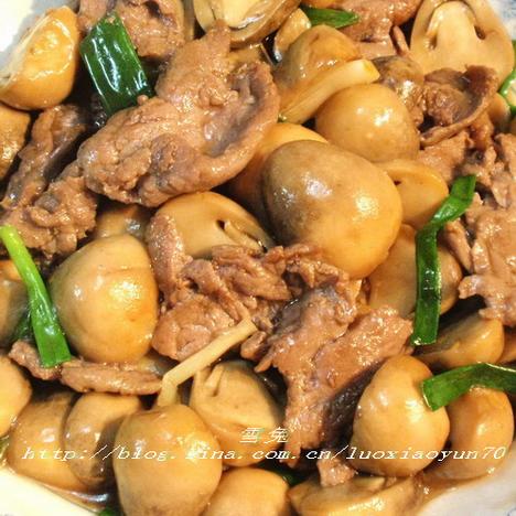 ��Ͳݹ�ţ�������