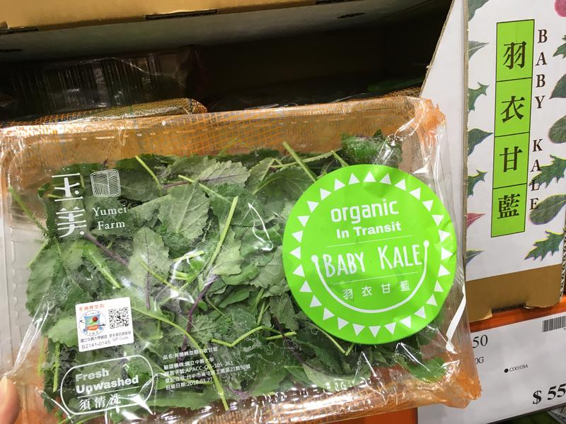 ���¸�������������������