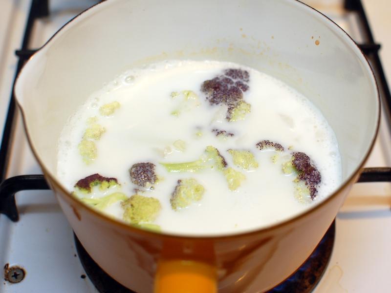 ������������Ũ��������