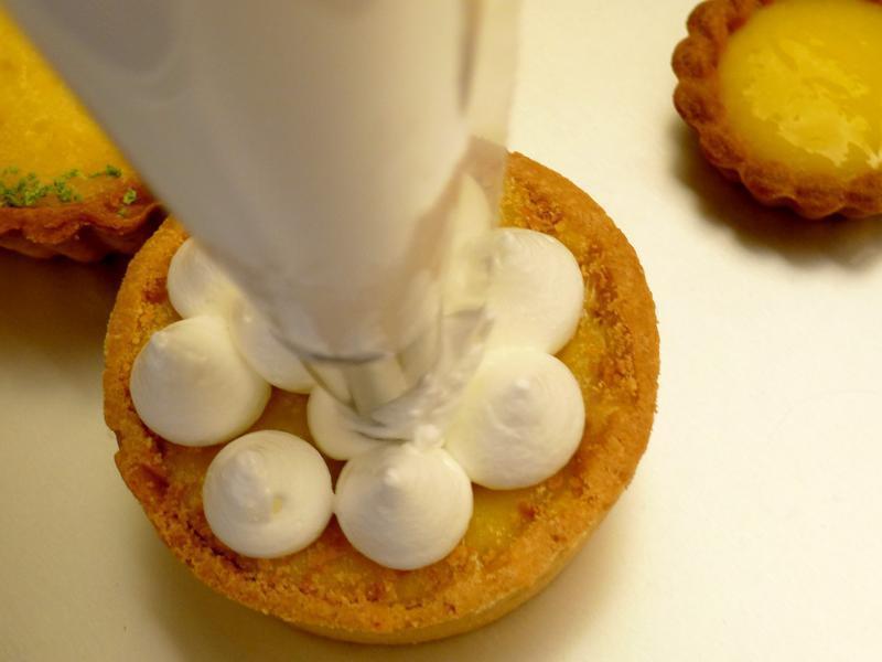 ����˪������������