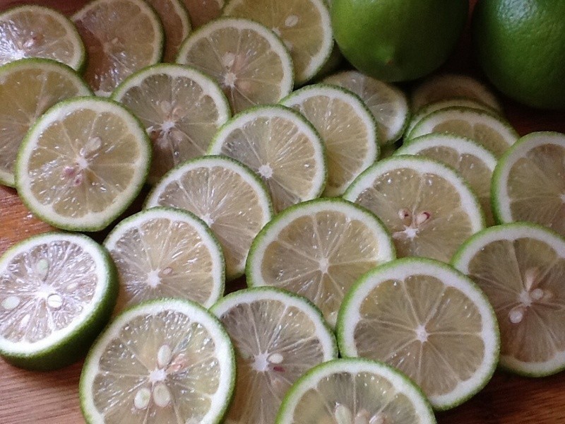 ����-���ʴ׵�����